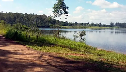 Foto 8 de Horto Florestal Sumaré-SP