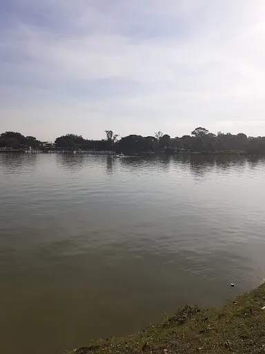 Foto 7 de Lagoa Parque Ecológico do Tietê