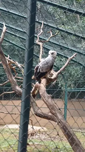 Foto 19 de Zoo São Paulo