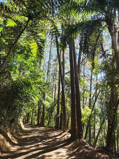 Foto 17 de Parque Estadual Cantareira - Núcleo Cabuçu