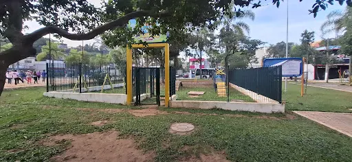 Foto 21 de Parque Ecológico Fernando Vitor de Araújo Ales (Pq. do Eldorado)