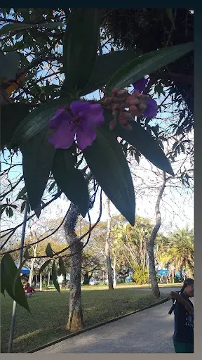 Foto 21 de Parque Antônio Fláquer Ipiranguinha