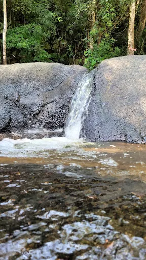 Foto 7 de Trilha Cachoeira da Graça