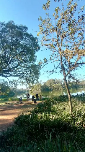 Foto 17 de Parque Ibirapuera