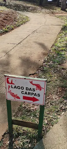 Foto 36 de Parque Ecológico Profª Lydia Natalizio Diogo - Vila Prudente