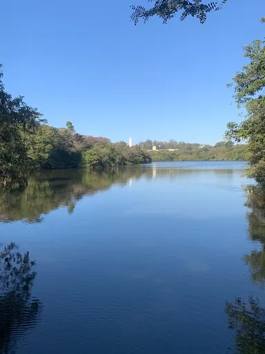 Foto 20 de Parque Ecológico Prof. Hermógenes de Freitas Leitão