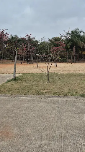 Foto 38 de Parque Estadual do Belém Manoel Pitta