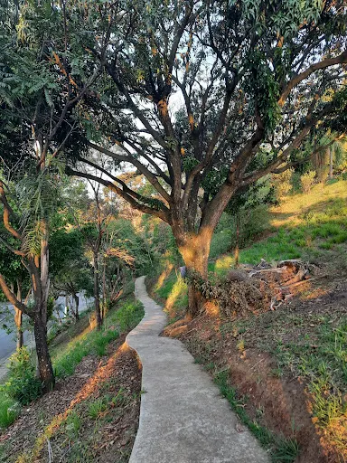 Foto 14 de ParCão Lapa - Praça Amadeu Decome
