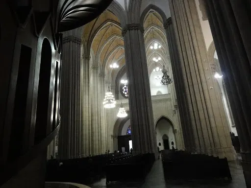 Foto 37 de Catedral Metropolitana Nossa Senhora da Assunção