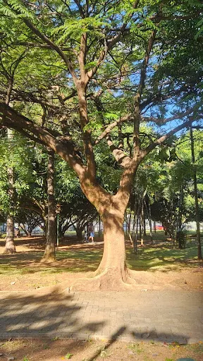 Foto 38 de Parque Jardim das Perdizes