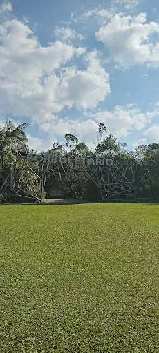 Foto 24 de Borboletário de São Paulo