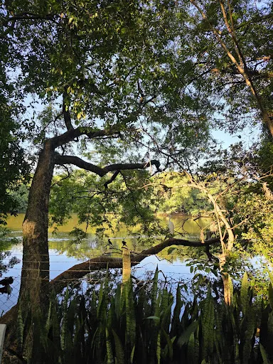 Foto 36 de Parque Ecológico Prof. Hermógenes de Freitas Leitão
