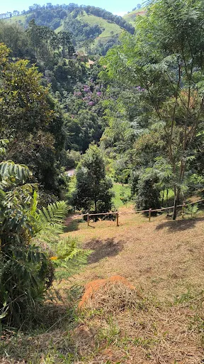 Foto 19 de Próxima Saída Viagens e passeios de um dia