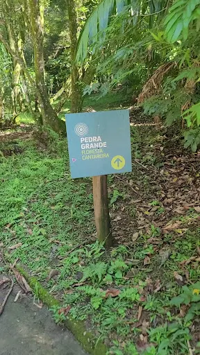 Foto 29 de Parque Estadual Cantareira - Núcleo Pedra Grande