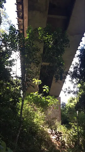 Foto 6 de Ribeirão dos Monos
