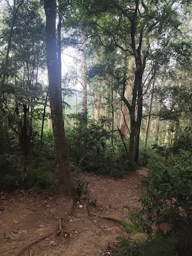 Foto 12 de CACHOEIRA DA GRAÇA COTIA