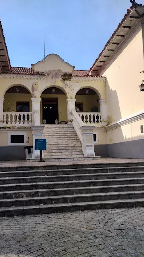 Foto 12 de Museu Florestal Octávio Vecchi