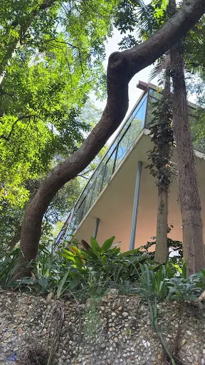 Foto 6 de Casa de Vidro Lina Bo Bardi