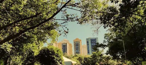 Foto 37 de Parque Villa-Lobos