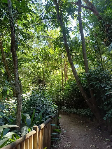 Foto 11 de Parque Severo Gomes