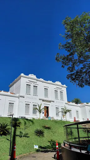 Foto 12 de Instituto Butantan