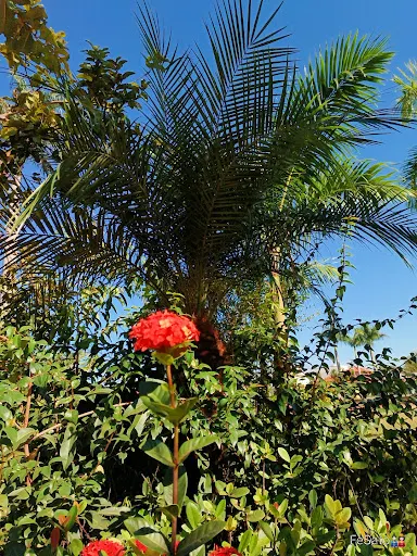 Foto 15 de Parque Lagoa dos Pássaros