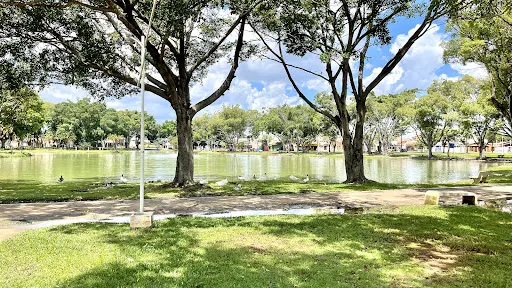 Foto 38 de Parque Lagoa dos Pássaros