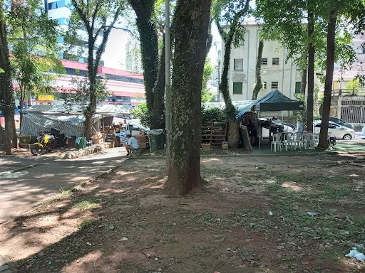 Foto 5 de Parque Domingos Luís