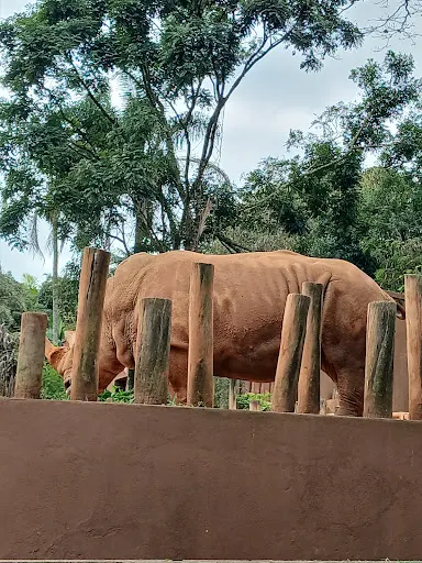 Foto 11 de Zoo São Paulo