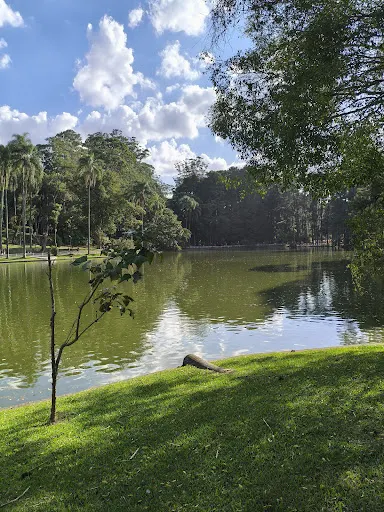Foto 12 de Parque Horto Florestal - Portão 4