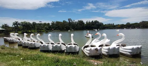 Foto 39 de Trem Turístico - Parque Ecológico