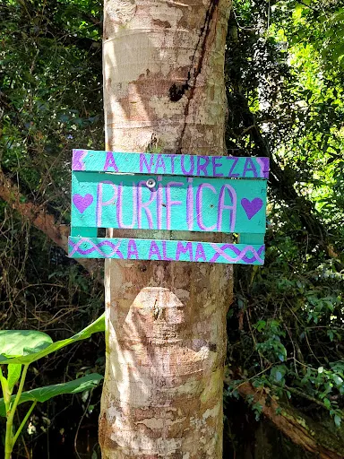 Foto 21 de Trilha Cachoeira da Graça
