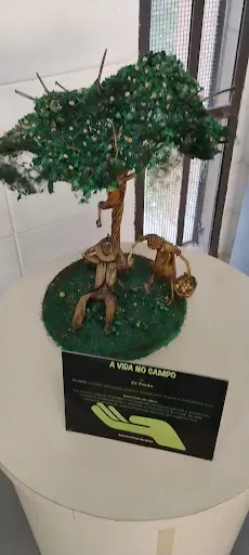 Foto 30 de Museu do Rio Tietê