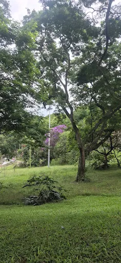 Foto 30 de Praça Vinícius de Moraes