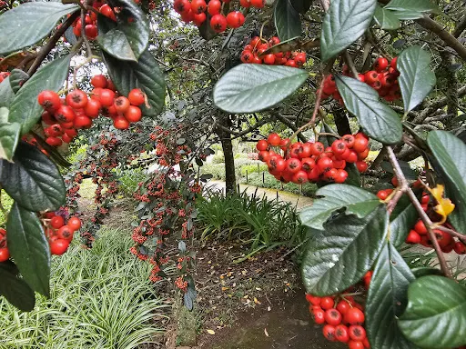 Foto 38 de Parque Amantikir