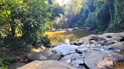Foto 9 de Trilha Cachoeira da Graça