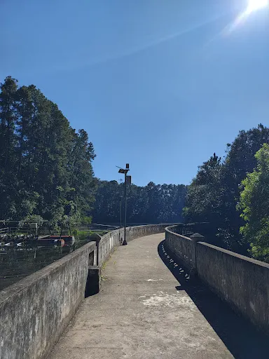 Foto 14 de Parque Estadual Cantareira - Núcleo Cabuçu