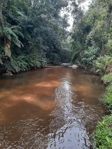 Foto 16 de Próxima Saída Viagens e passeios de um dia