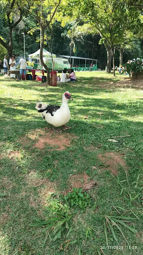 Foto 8 de Parque Ecológico - Ilha do Tamboré