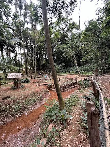 Foto 30 de Parque Ecológico Chico Mendes