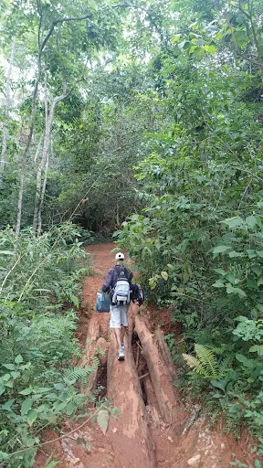 Foto 18 de Cachoeira do Vau Novo