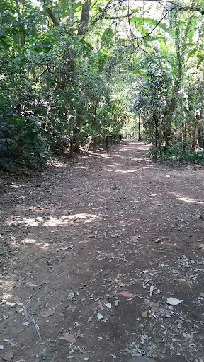 Foto 18 de Parque Severo Gomes