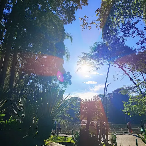 Foto 13 de Parque Estadual Cantareira - Núcleo Pedra Grande