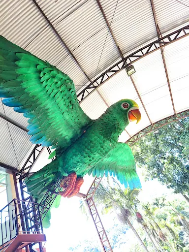 Foto 23 de Sitiolândia