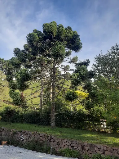 Foto 13 de Próxima Saída Viagens e passeios de um dia