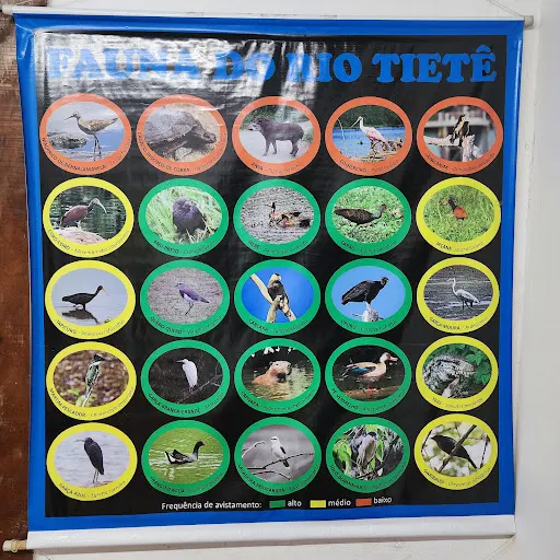 Foto 13 de Centro de Educação Ambiental - Parque Ecológico do Tietê