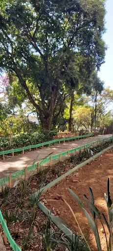 Foto 10 de Parque Benemérito José Brás