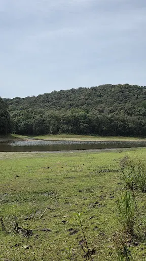 Foto 5 de Parque Estadual Águas da Billings -