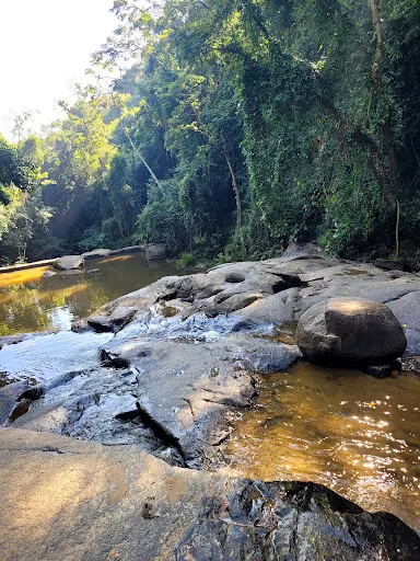 Foto 10 de Trilha Cachoeira da Graça