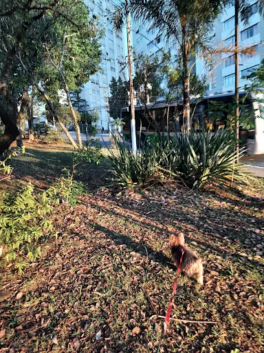 Foto 20 de ParCão Lapa - Praça Amadeu Decome